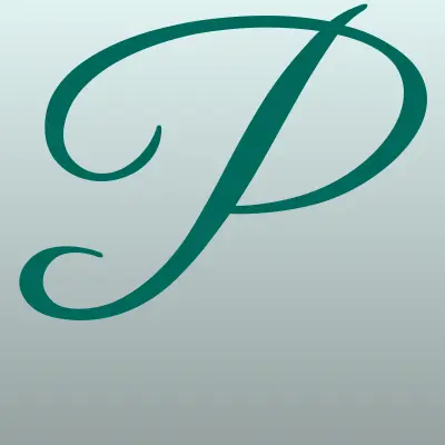 Pay. Travel, терминал, лого-визитка